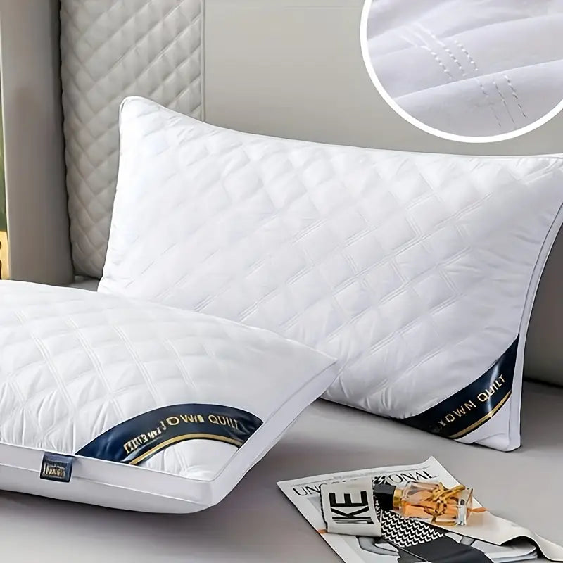DreamRest - 2 Hypoallergene 3D Kussens voor Cervicale Ondersteuning