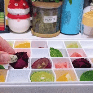 IJsblokjeshouder – met deksel – voor het maken van ijsblokjes