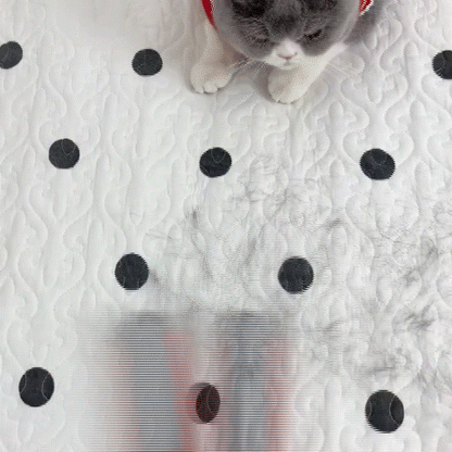 Pluisroller voor Huisdieren – Herbruikbaar – Voor Katten en Honden – Efficiënt en Gemakkelijk