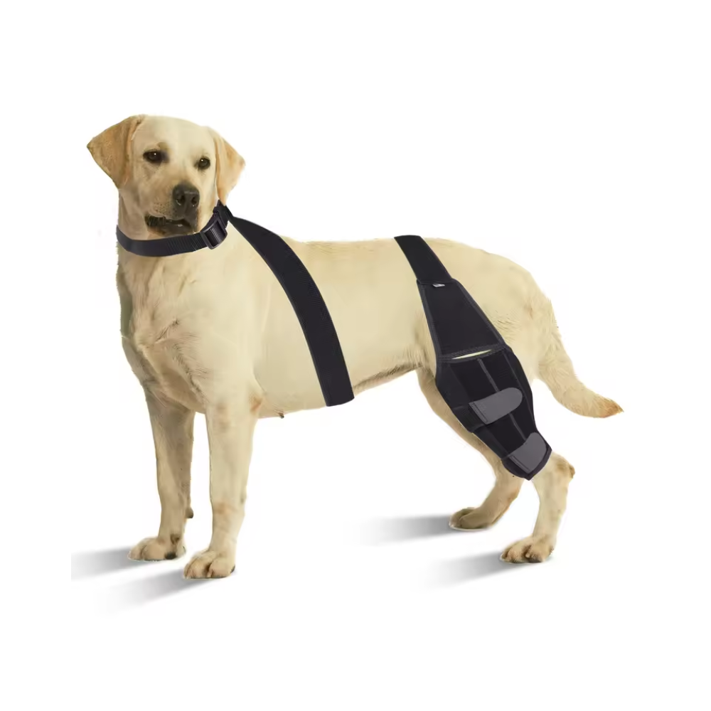 Honden Kniebrace – Verstelbare Banden – Stabiliserende Ondersteuning