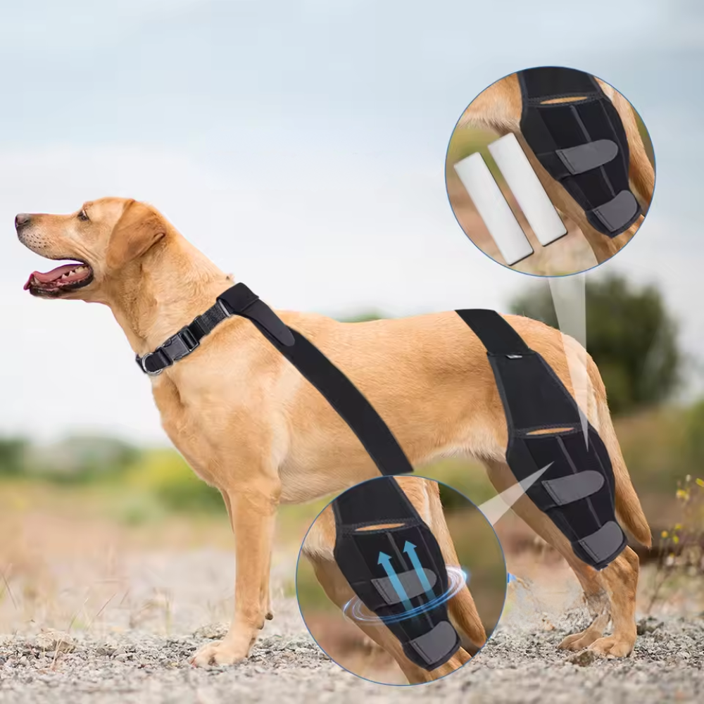 Honden Kniebrace – Verstelbare Banden – Stabiliserende Ondersteuning