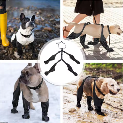 Hondenschoenen met Harnas – Antislip Zool – Klittenbandsluiting