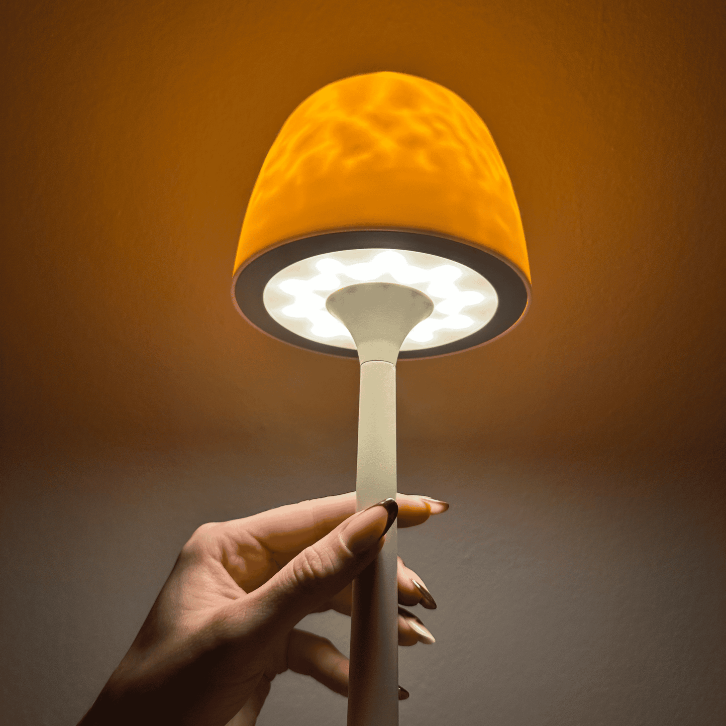 Auraly Lamp – Twee Zielen voor een Magische Sfeer
