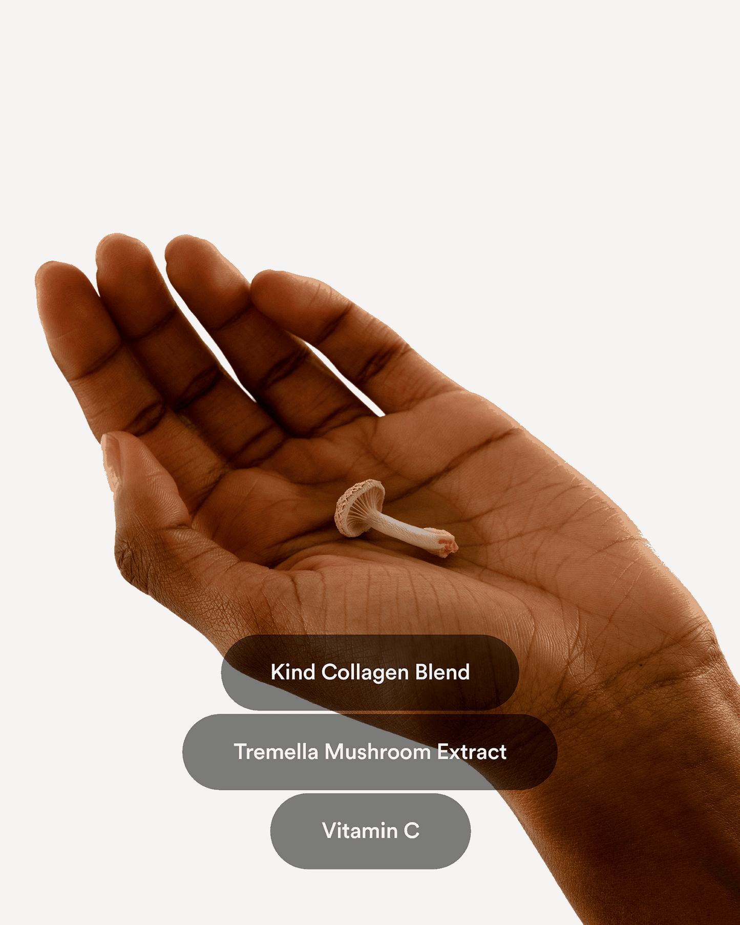 Fittershape Collagen Patches