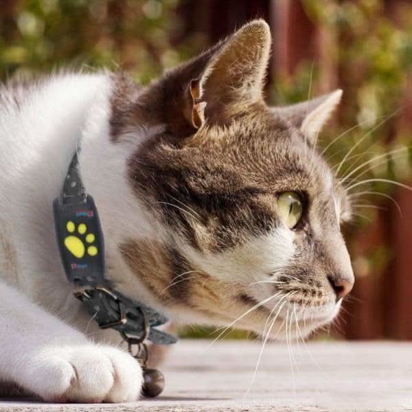 Huisdier GPS Tracker – Verstelbare Halsband – Veiligheidsfunctie voor Katten en Honden