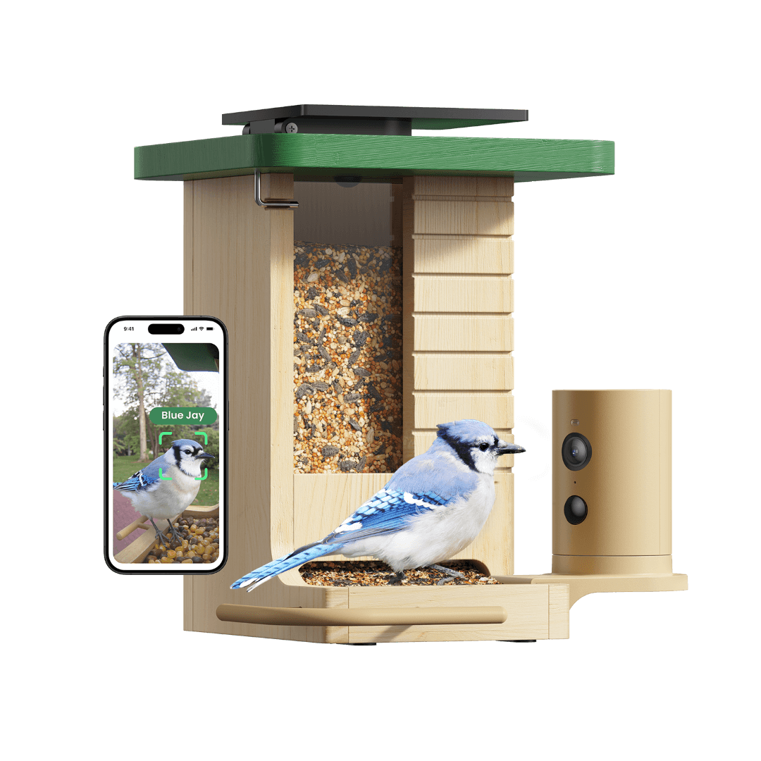 Slimme Vogelvoederautomaat – Camera met Nachtzicht – App-besturing – Voor Vogelherkenning