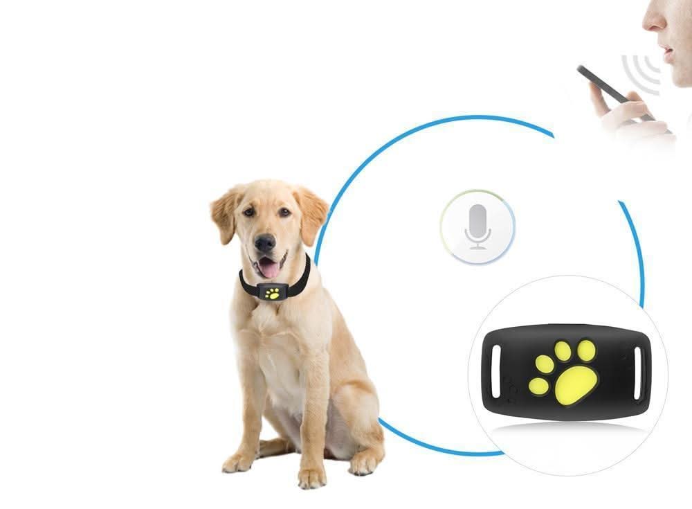 Huisdier GPS Tracker – Verstelbare Halsband – Veiligheidsfunctie voor Katten en Honden