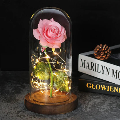 Verlichte Roos – Glazen Bedekking – Decoratie voor Huis en Geschenken