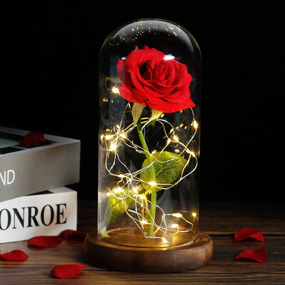 Verlichte Roos – Glazen Bedekking – Decoratie voor Huis en Geschenken
