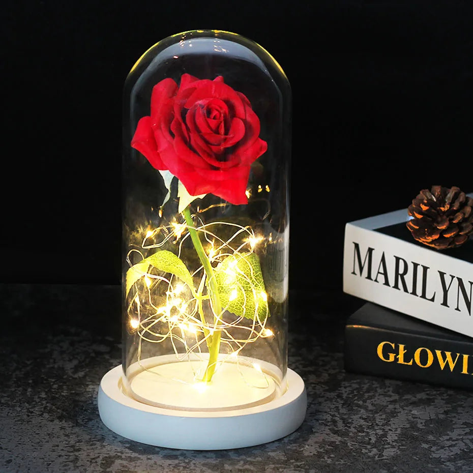 Verlichte Roos – Glazen Bedekking – Decoratie voor Huis en Geschenken