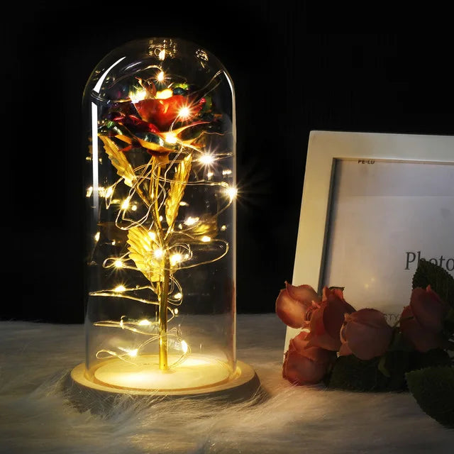 Verlichte Roos – Glazen Bedekking – Decoratie voor Huis en Geschenken