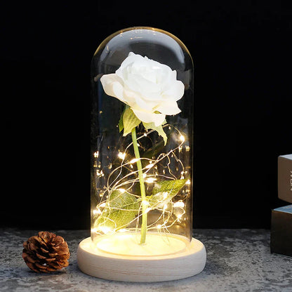 Verlichte Roos – Glazen Bedekking – Decoratie voor Huis en Geschenken