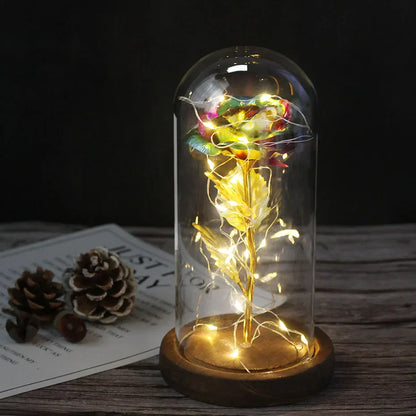 Verlichte Roos – Glazen Bedekking – Decoratie voor Huis en Geschenken