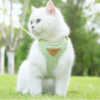 Groen