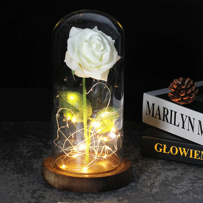 Verlichte Roos – Glazen Bedekking – Decoratie voor Huis en Geschenken