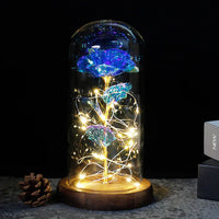 Blauw Gouden Steel Donker Eiken