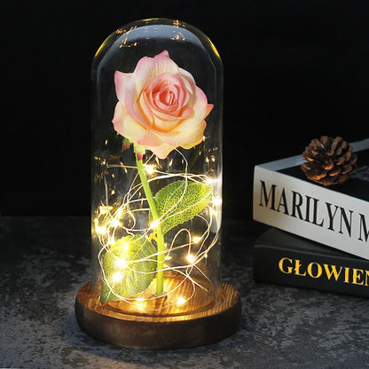 Verlichte Roos – Glazen Bedekking – Decoratie voor Huis en Geschenken
