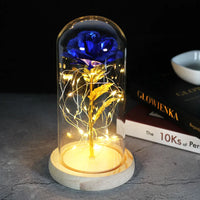 Blauw Gouden Steel Licht
