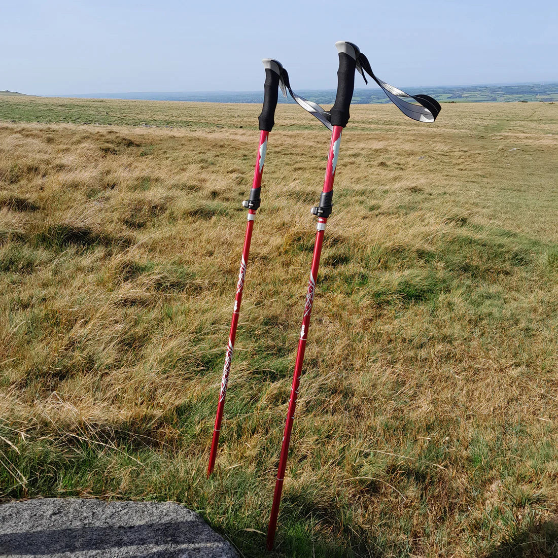 Wandelstokken – Verstelbaar – Met Antislip Grepen – Voor Wandelen en Trekking