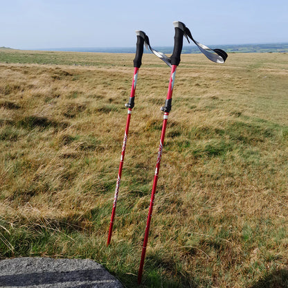 Wandelstokken – Verstelbaar – Met Antislip Grepen – Voor Wandelen en Trekking