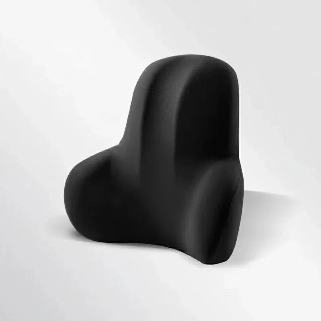 Auto Nek- en Lendensteun Set – Ergonomisch Ontwerp – Voor Langdurig Comfort