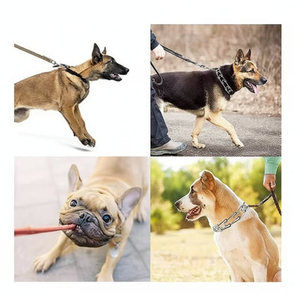Verstelbare Hondenhalsband – Duurzaam Nylon – Metalen Ringen – Voor Honden