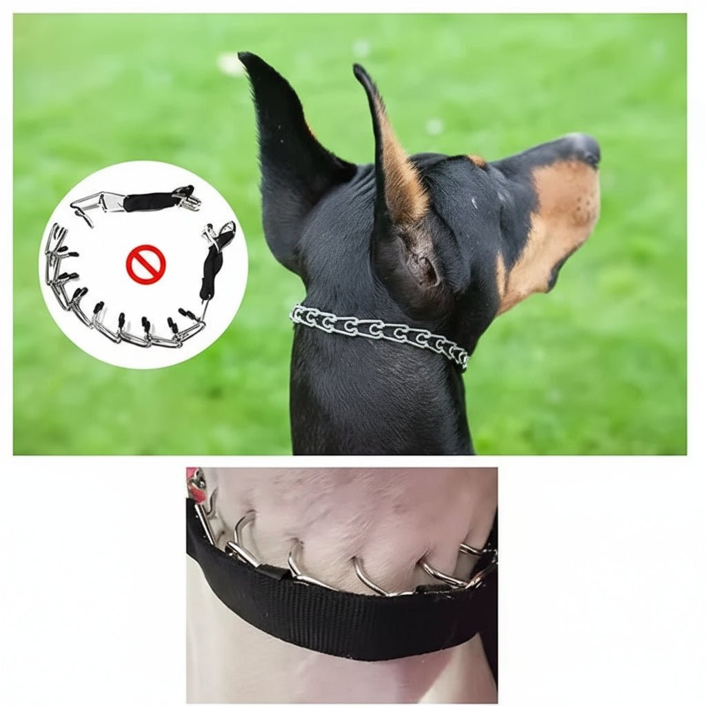 Verstelbare Hondenhalsband – Duurzaam Nylon – Metalen Ringen – Voor Honden