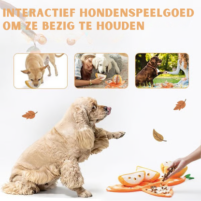 Hondenspeelgoed – Mandarijn – Pluche Speeltje – Voor Kleine en Middelgrote Honden
