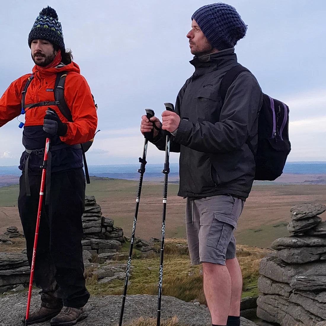 Wandelstokken – Verstelbaar – Met Antislip Grepen – Voor Wandelen en Trekking