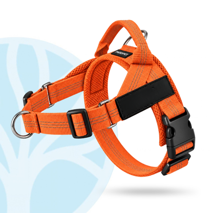 Fittershape No-Pull Dog Harness – met voorwaartse clip tegen trekken