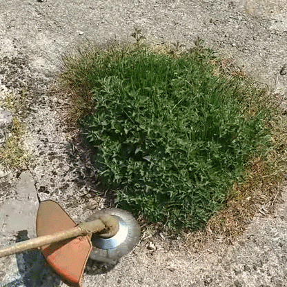 Borstelschijf – Roestvrij staal – Geschikt voor grastrimmer – Voor onkruidverwijdering