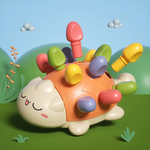 Educatief Speelgoed – Kleurige Tortoise met Pinnen – Voor Baby’s