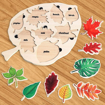 Houten Bladeren Puzzel – Educatief – Voor Kinderen – Met Bladherkenning