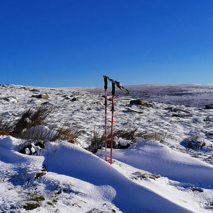 Wandelstokken – Verstelbaar – Met Antislip Grepen – Voor Wandelen en Trekking